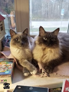 Иллюстрация 2