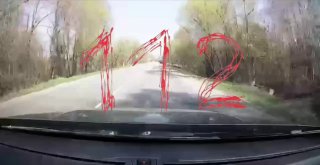 Иллюстрация 1