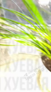 Сообщение о продолжении ударов по Одессе и прилегающим территориям.