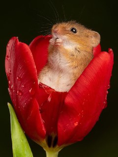 Иллюстрация 8