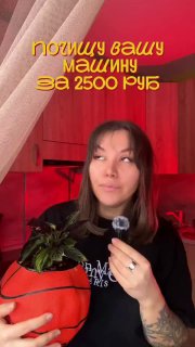 Жительница России заработала 12500 рублей, откапывая машины из-под снега