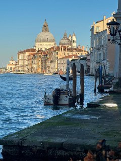 В Венеции проходит 61-я Биеннале современного искусства