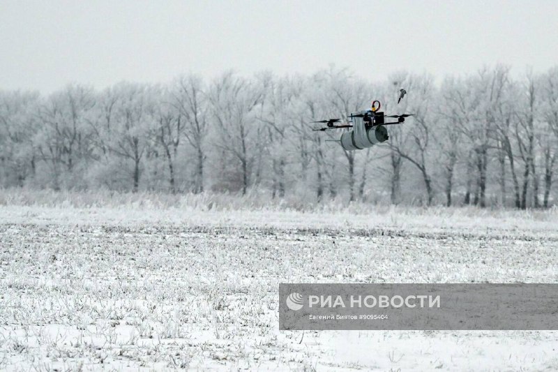 Иллюстрация 1