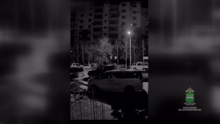 Вор уснул в угнанном автомобиле в Благовещенске