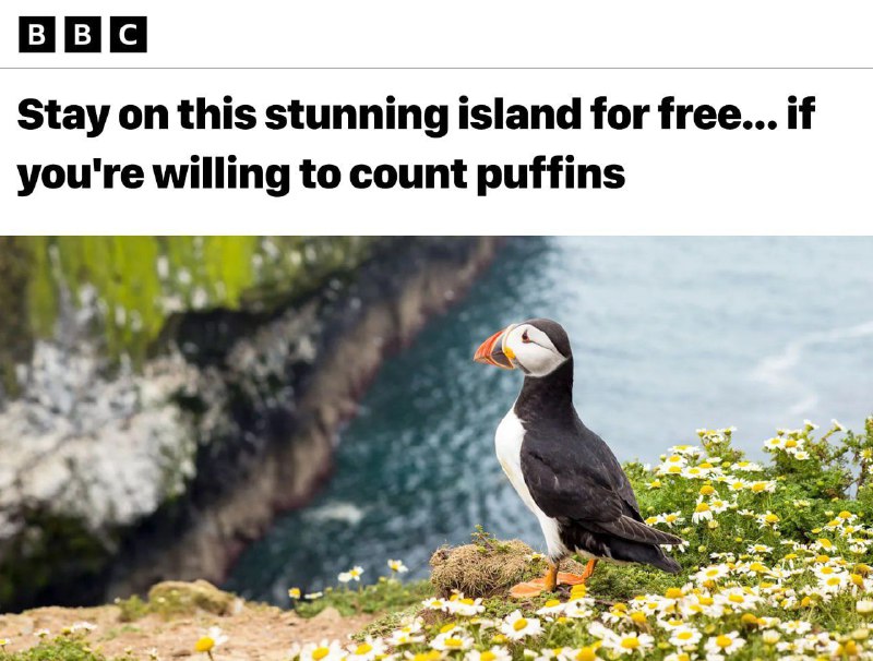 Бесплатное жилье и стипендия за пересчет тупиков на острове