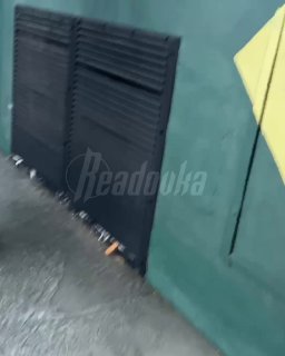 Иллюстрация 1