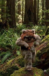 Иллюстрация 2