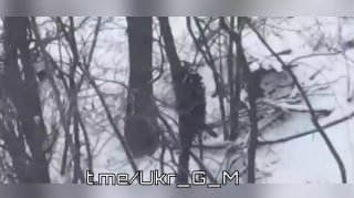 Уничтожение укреплений ВСУ на Северском направлении