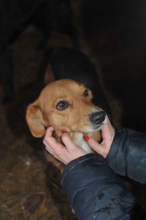 Иллюстрация 4