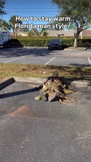 Иллюстрация 2