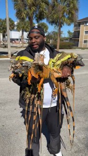 Иллюстрация 6