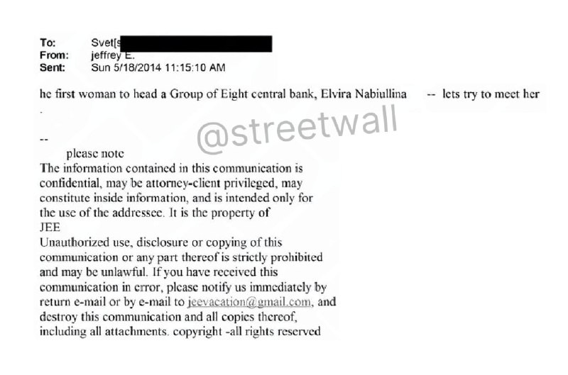 Эпштейн хотел встретиться с Набиуллиной