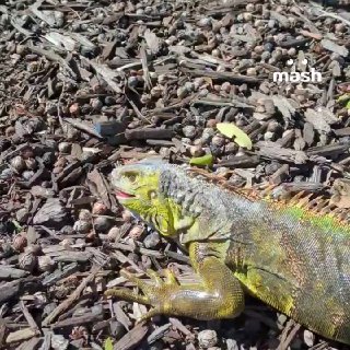 Иллюстрация 2