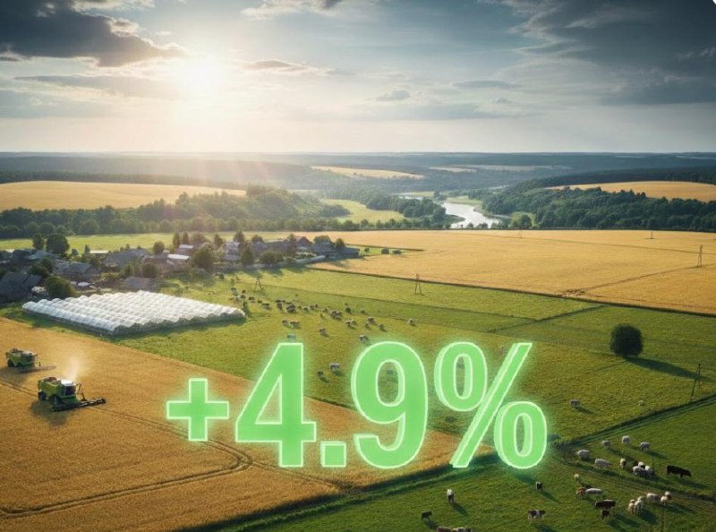 Сельхозпроизводство в России выросло почти на 5% в 2025 году