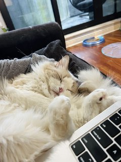 Иллюстрация 4