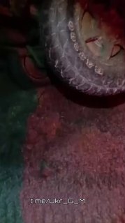 В Украине уничтожен бандеромобиль ВСУ