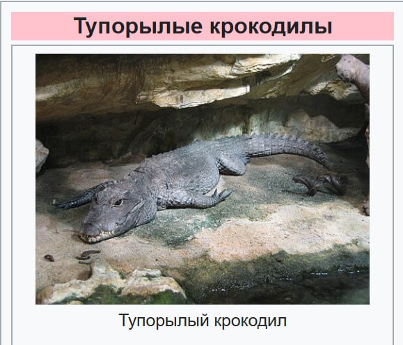 Экологичная альтернатива ненормативной лексике