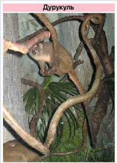 Иллюстрация 5