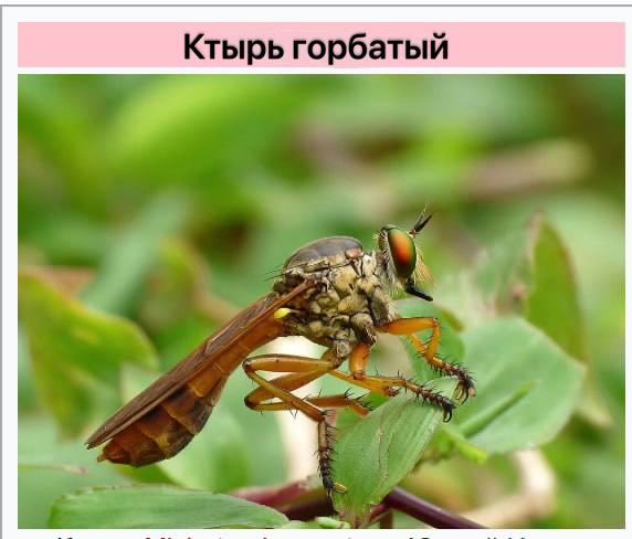 Иллюстрация 9