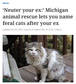 Американский приют предлагает называть котов именами бывших