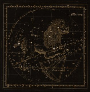 Иллюстрация 5