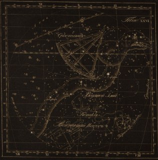 Иллюстрация 9