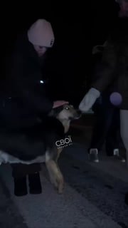 Иллюстрация 2