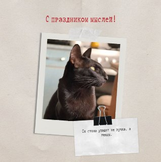 День для размышлений