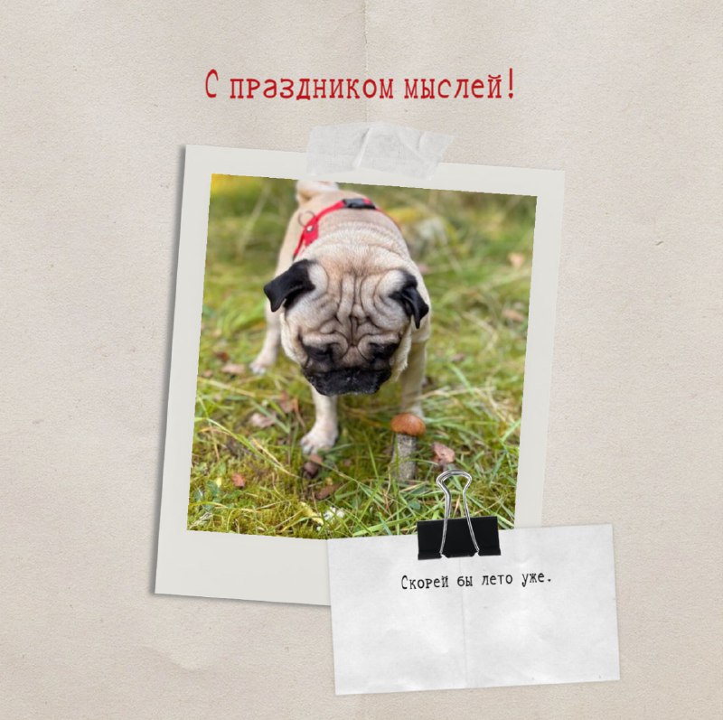 Иллюстрация 5