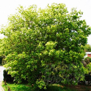 Иллюстрация 2