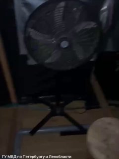 В Петергофе пресекли деятельность наркоплантаторов