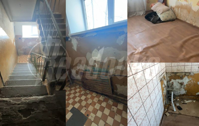 Иллюстрация 2