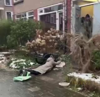 В Нидерландах из-за гололеда произошла сотня ДТП, движение поездов остановлено.