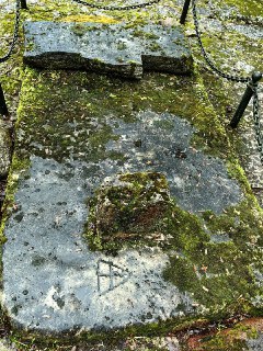 Иллюстрация 4