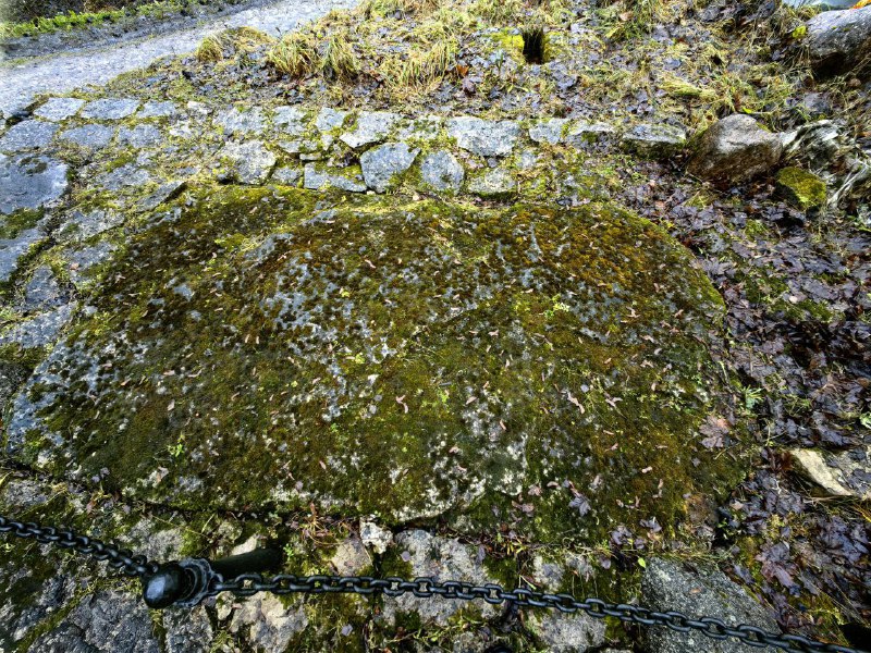 Иллюстрация 5