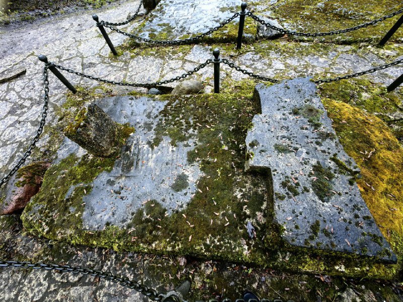 Иллюстрация 6