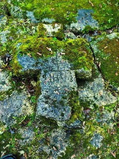 Иллюстрация 7