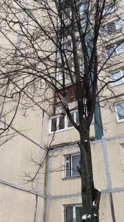 Иллюстрация 1