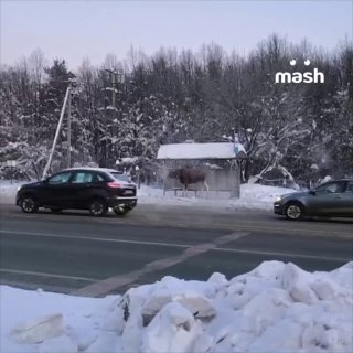 Иллюстрация 1