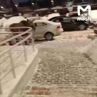 Иллюстрация 3