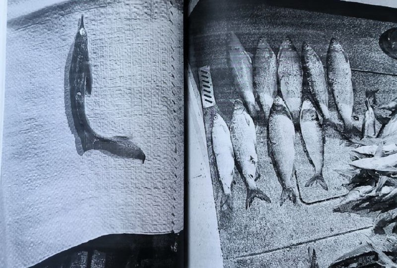 Житель Югры оштрафован за незаконный вылов рыбы