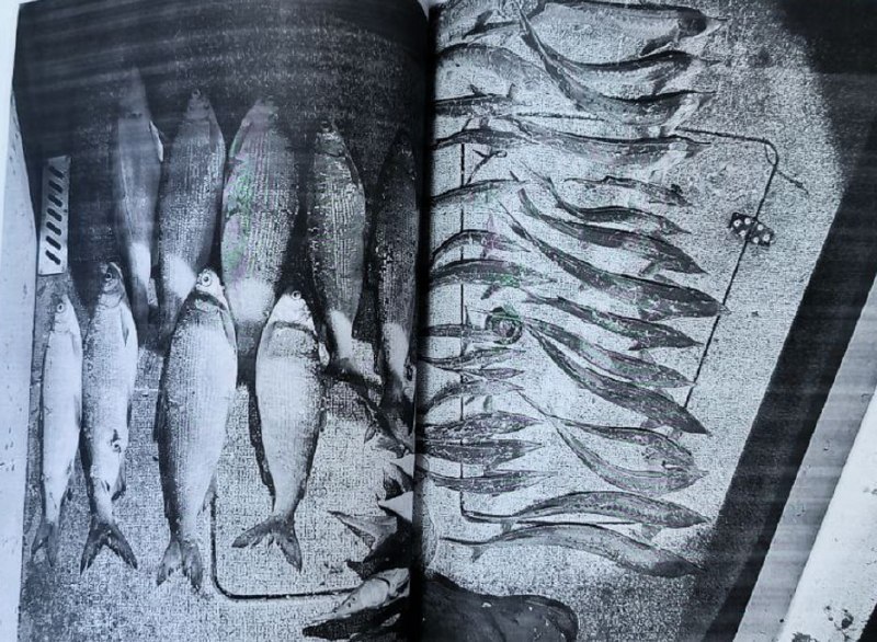 Иллюстрация 2