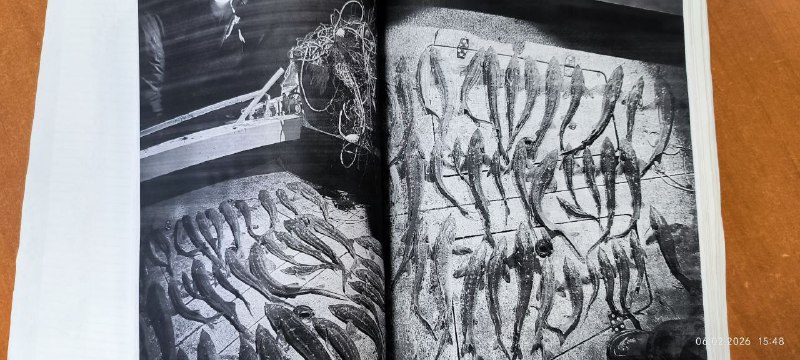 Иллюстрация 3