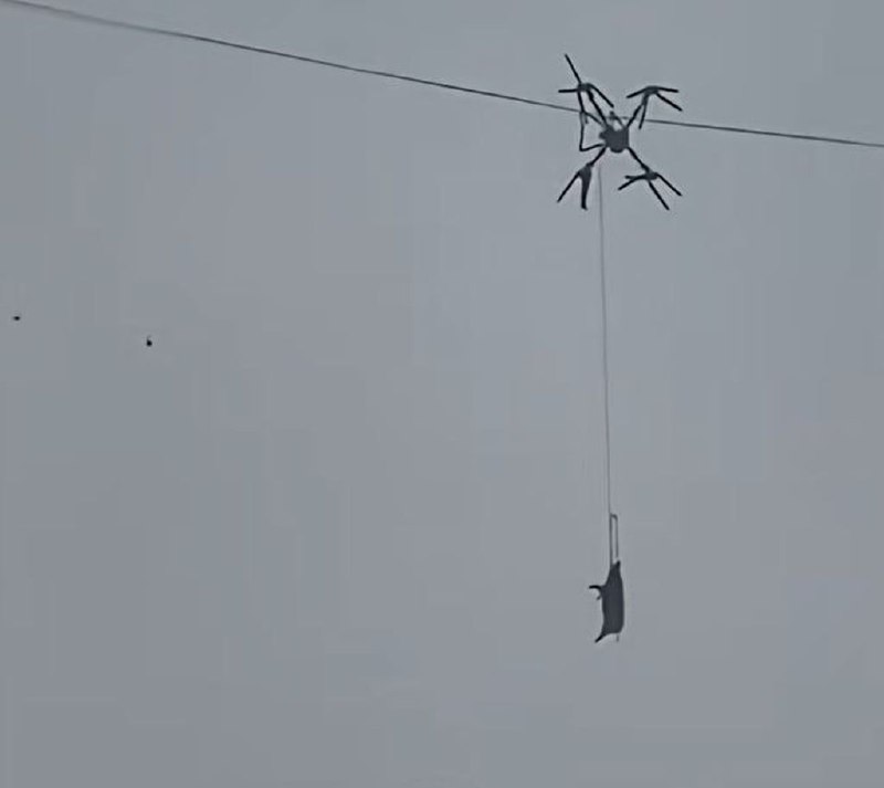 Свинья на дроне вызвала отключение электроэнергии в Китае