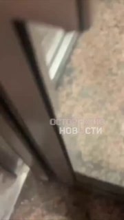 Иллюстрация 1