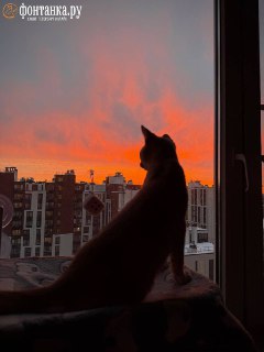 Иллюстрация 8