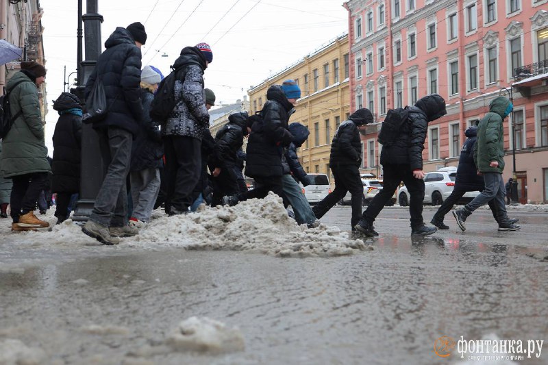 Иллюстрация 9