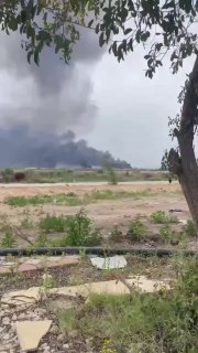 Иллюстрация 1