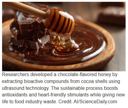 Создан шоколадный мёд с полезными свойствами
