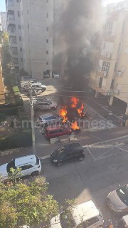 Иллюстрация 1